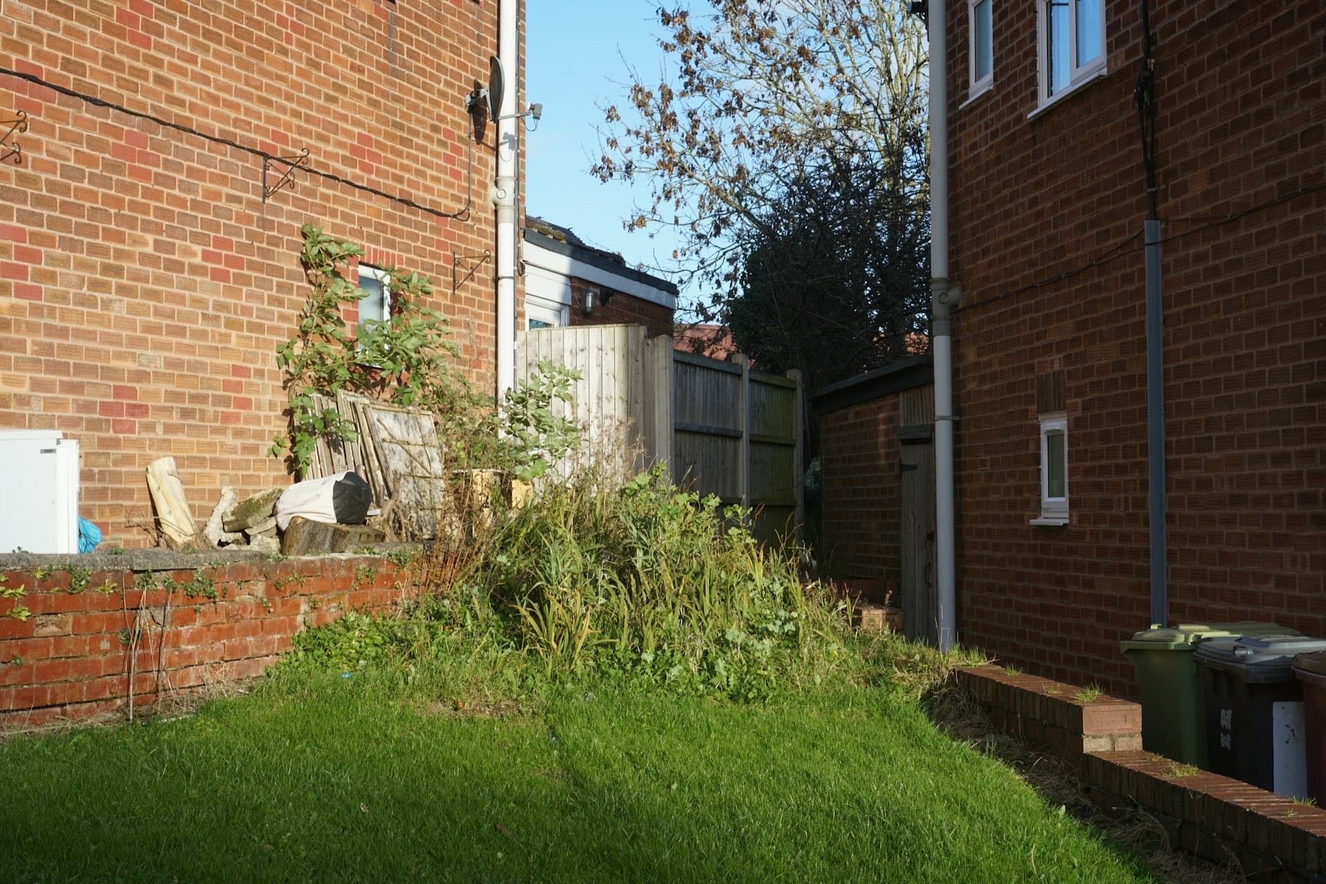 Neglected back garden with an overgrown, weedy lawn between brick houses