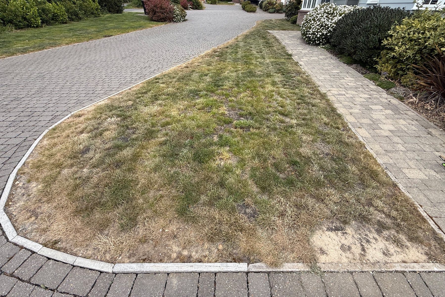 Wickham Bishops new-build front lawn, thin and patchy with bare dry soil showing through before renovation