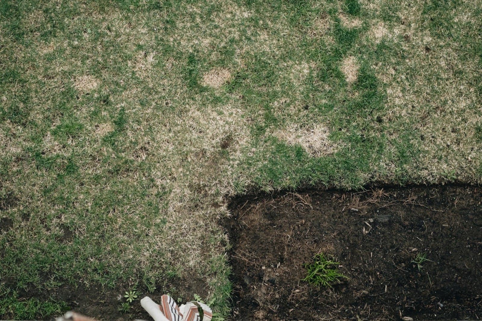 Lawn seen from above with dead patches and an area of bare soil