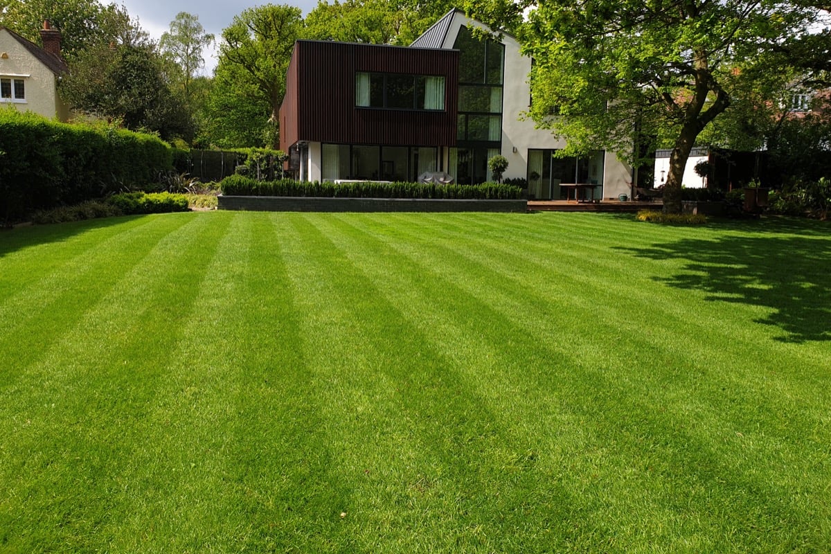Long straight stripes on a large lawn leading up to a modern house