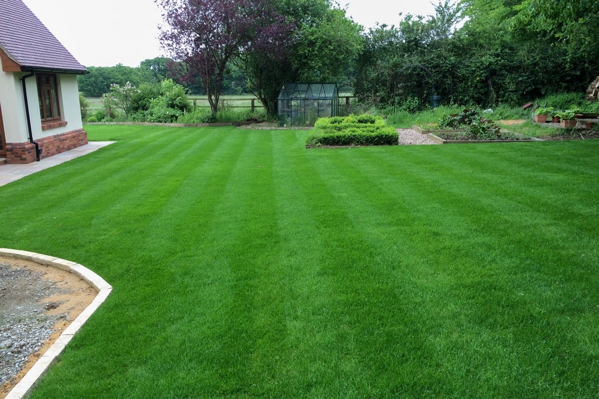 Rear garden with striped lawn, curved stone edging, and a greenhouse
