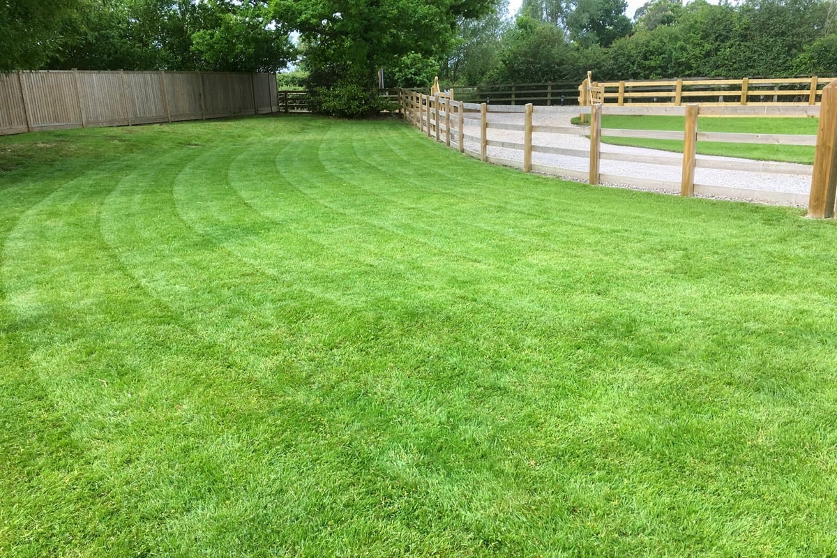 Curved mowing stripes on a large lawn with post-and-rail fencing