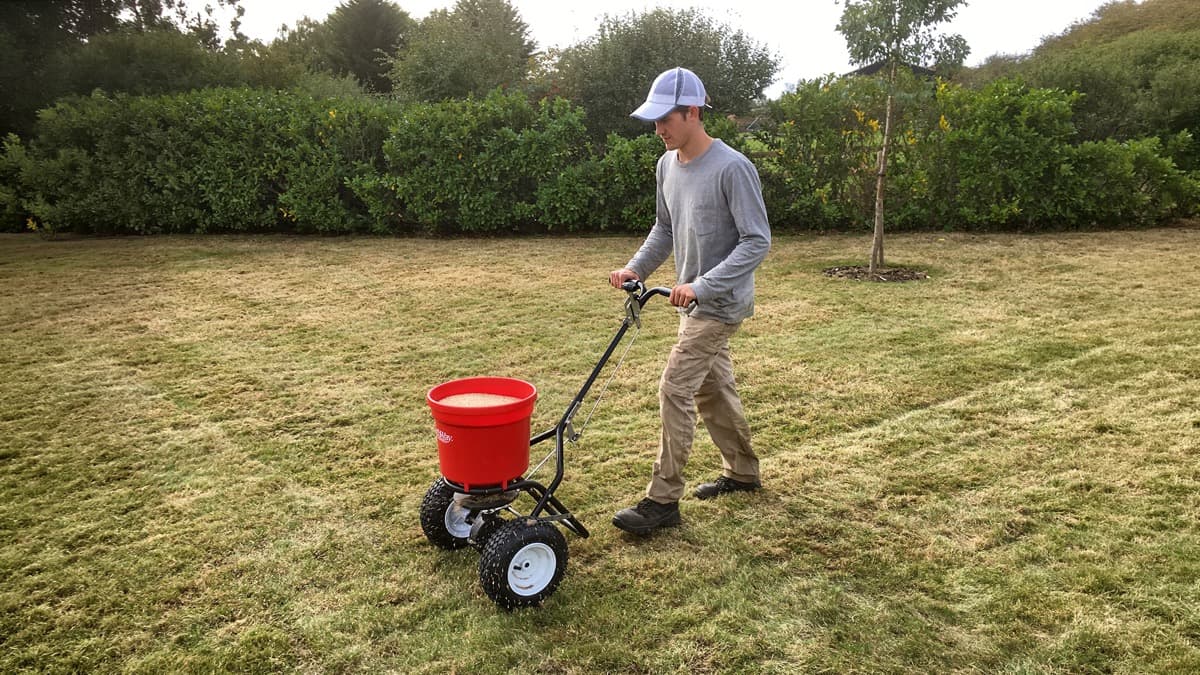 George overseeding a lawn with a broadcast spreader