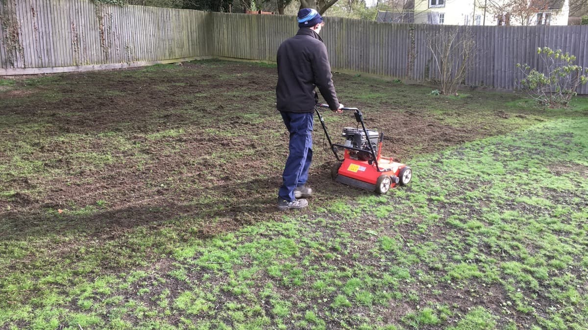 George performing heavy scarification during a full lawn renovation