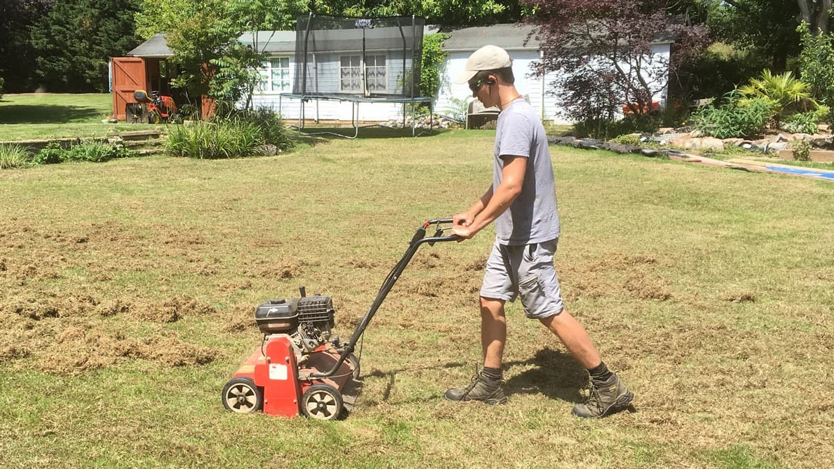 George scarifying a lawn with a professional scarifier